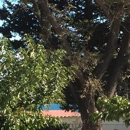 Casa Lescala *